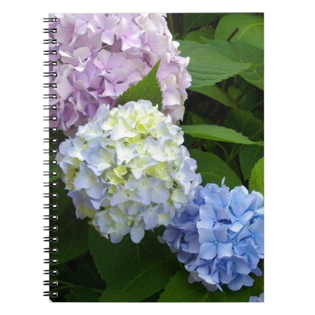Hydrangeas Spiral Notebook (Front)