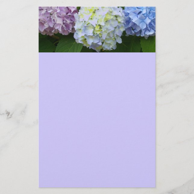 Hydrangeas Stationery (Front)