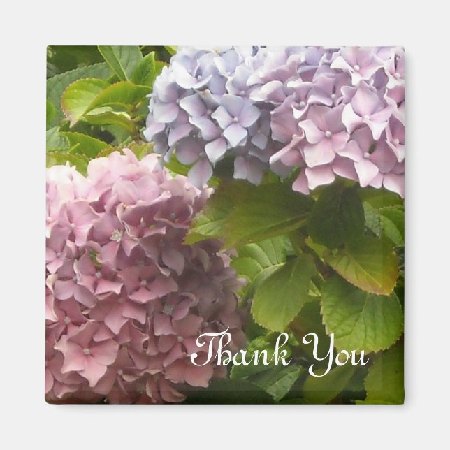 Hydrangeas Thank You Magnet (Front)