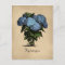 Hydrangeas Vintage Botanical