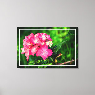 Hydrangia Pink Flowers Canvas Print