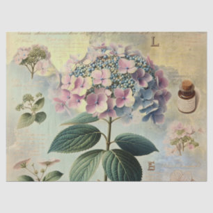 Hydrangia  tissue paper