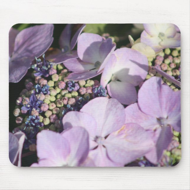 Hydrangia's on mouse mat (Front)