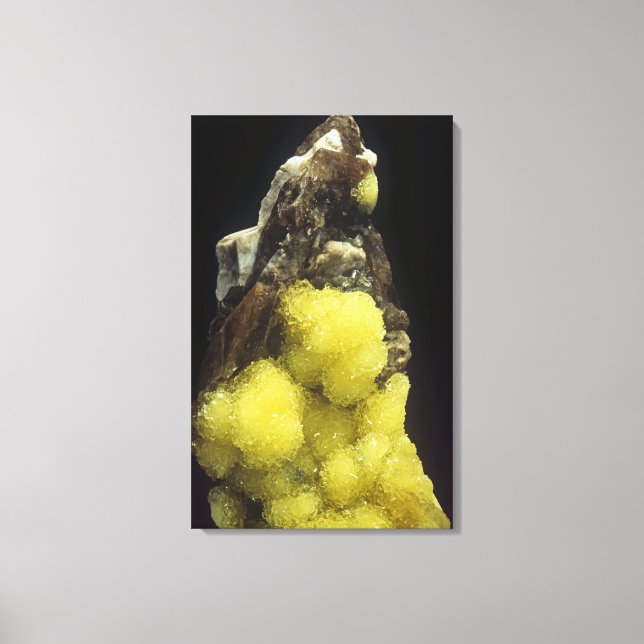 Hydroboracite on Gorgeyite, Kazakhstan Canvas Print (Front)