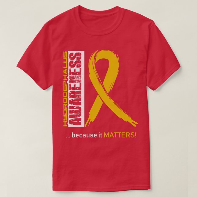 Hydrocephalus Awareness Because Its Matters In Thi T-Shirt (Design Front)