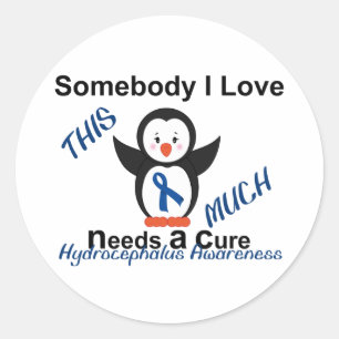 Hydrocephalus Awareness Someone I Love Classic Round Sticker