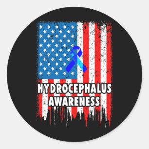 Hydrocephalus Survivor Inspire Awareness Warrior  Classic Round Sticker