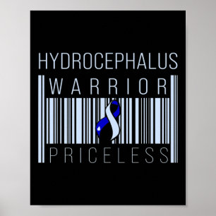 Hydrocephalus Survivor Price Awareness Warrior Poster