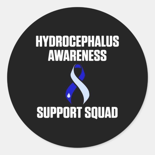Hydrocephalus Survivor Support Awareness Warrior  Classic Round Sticker (Front)