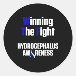 Hydrocephalus Survivor Winning Awareness Warrior  Classic Round Sticker