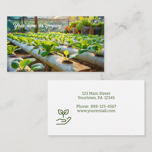 Hydroponic gardening business card (Front/Back)