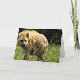 Hyena Greeting Card