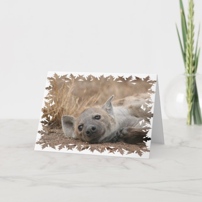 Hyena Picture Greeting Card (Front)