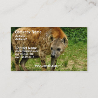 Hyena Prowl Business Card