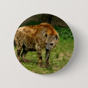 Hyena Prowl Round Button