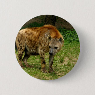 Hyena Prowl Round Button