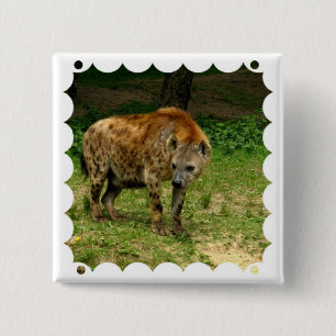 Hyena Prowl Square Pin
