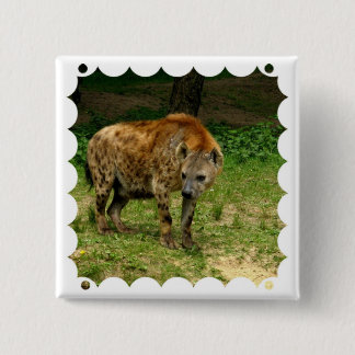 Hyena Prowl Square Pin