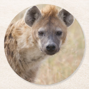 Hyena Round Paper Coaster