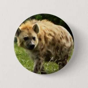 Hyena Round Pin