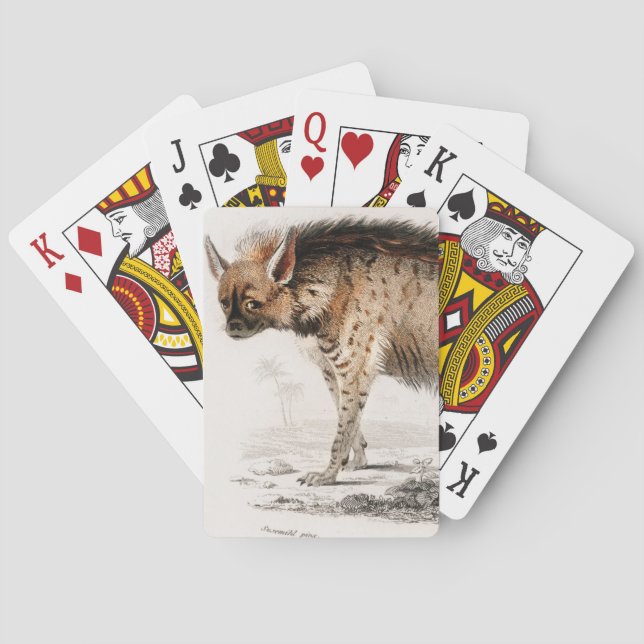 Hyena vintage illustrated playing cards (Back)