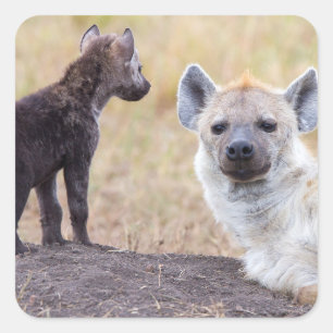 Hyena with young one square sticker