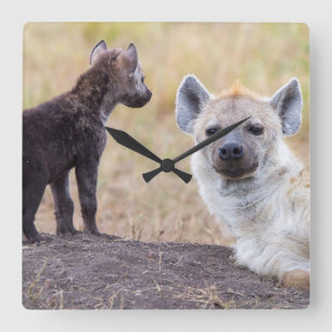 Hyena with young one square wall clock