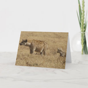 Hyenas Card