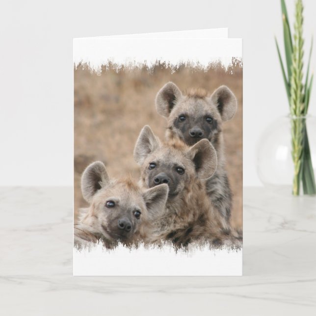 Hyenas Greeting Card (Front)