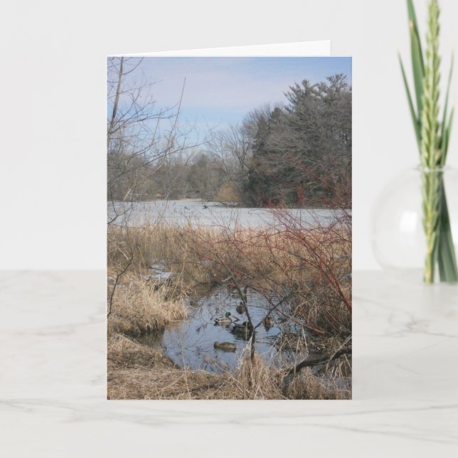 "Hyland Lake Ducks #1" Thank You Card (Front)