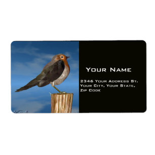 HYPER BIRDS / ROBIN RED BREAST