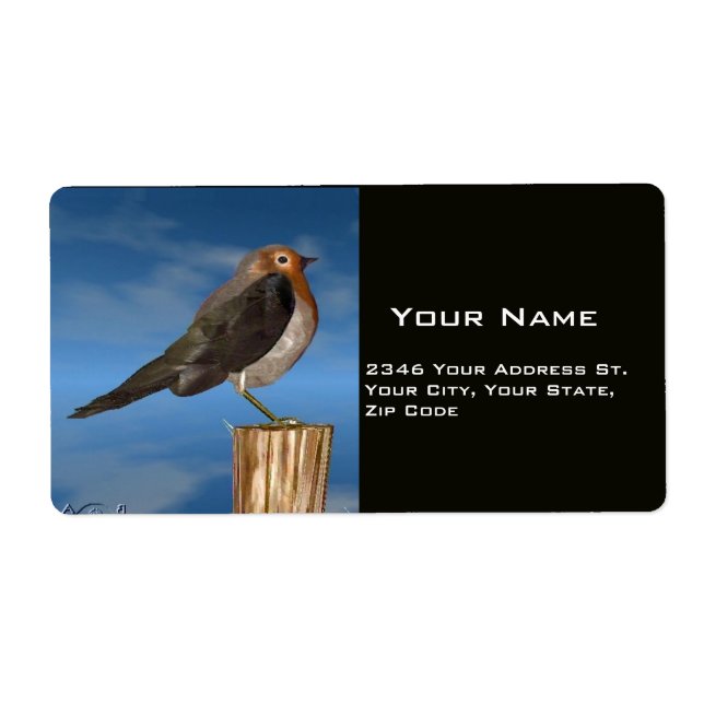 HYPER BIRDS / ROBIN RED BREAST (Front)