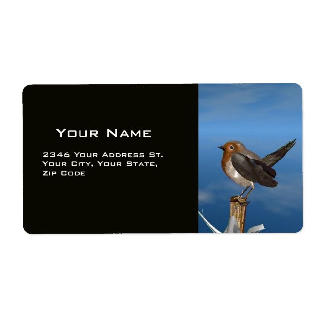 HYPER BIRDS / ROBIN RED BREAST (Front)