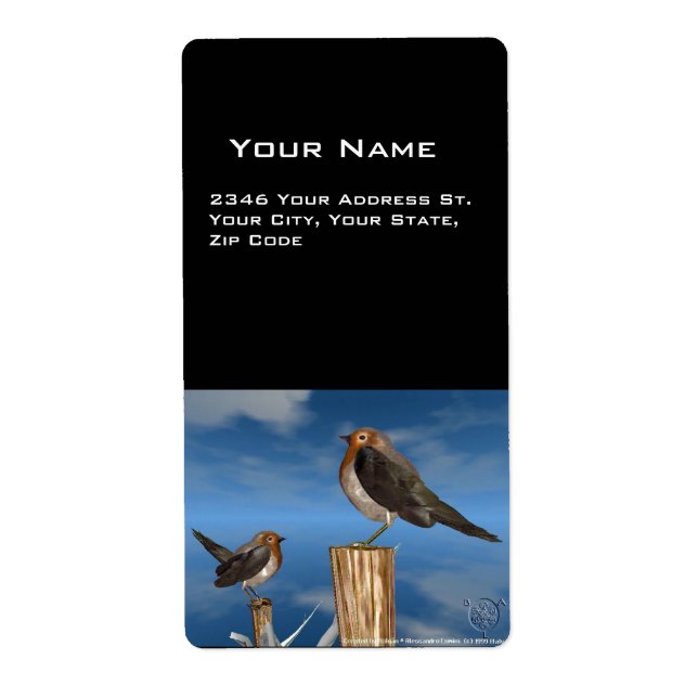 HYPER BIRDS / ROBIN RED BREAST (Front)