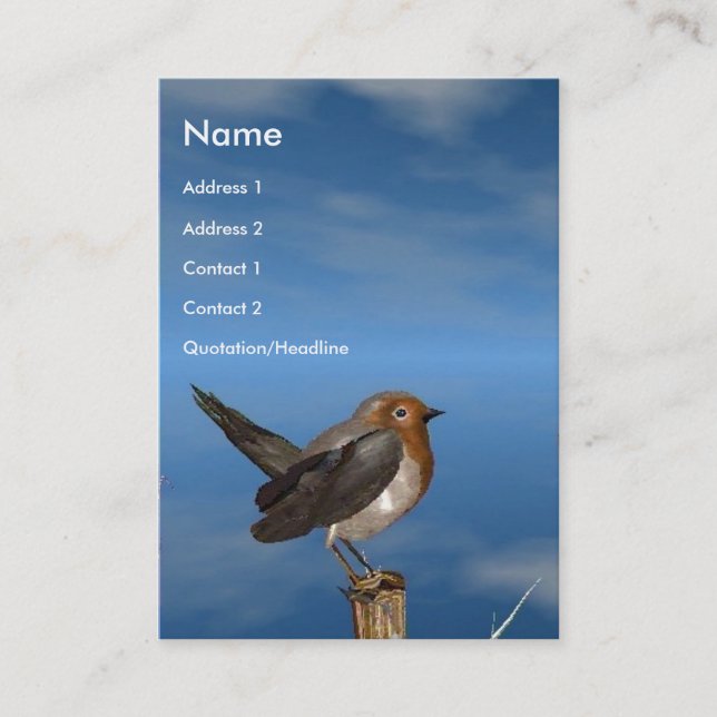 HYPER BIRDS / ROBIN RED BREAST BUSINESS CARD (Front)