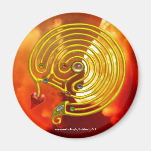 HYPER LABYRINTH MAGNET