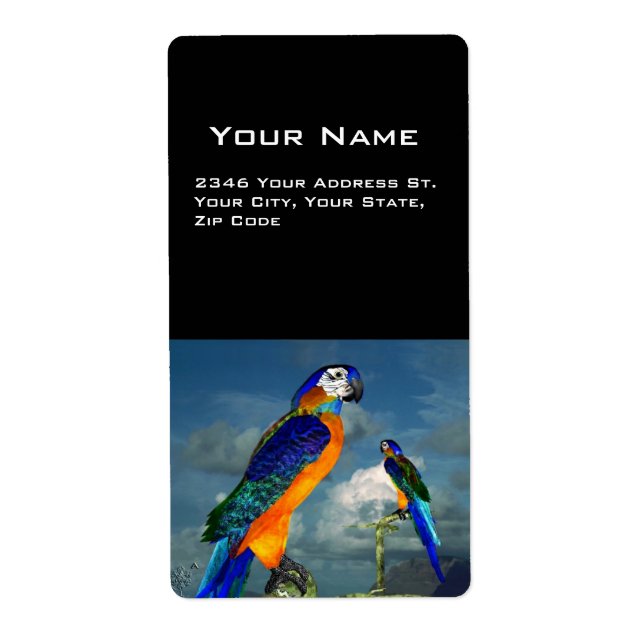 HYPER PARROTS / BLUE ARA (Front)