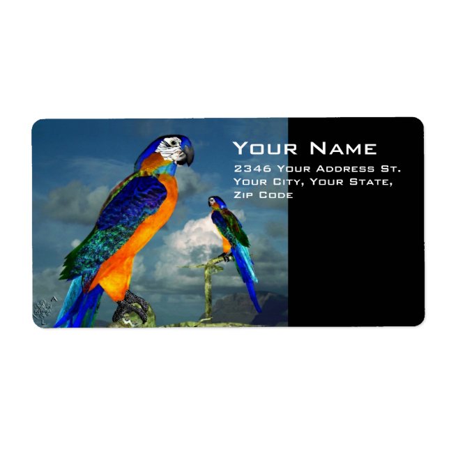 HYPER PARROTS / BLUE ARA (Front)