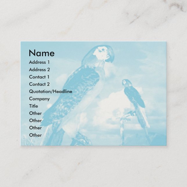 HYPER PARROTS / BLUE ARA BUSINESS CARD (Front)