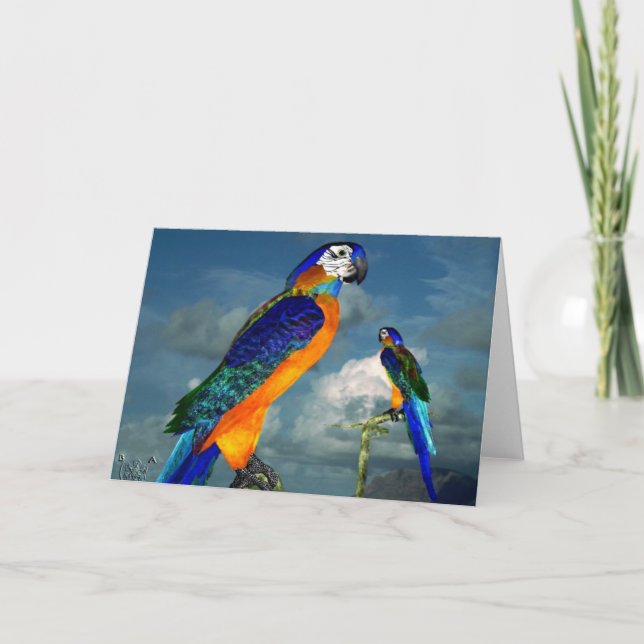 HYPER PARROTS / BLUE ARA CARD (Front)