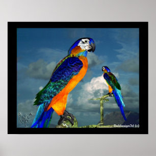 HYPER PARROTS / BLUE ARA POSTER