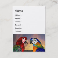HYPER PARROTS / RED AND BLUE ARA White