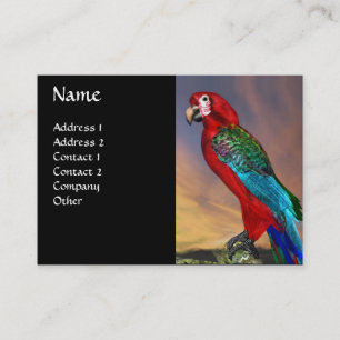 HYPER PARROTS / RED ARA ,black Business Card