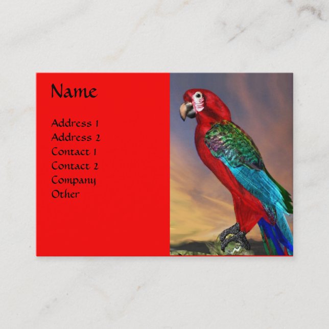 HYPER PARROTS / RED ARA BUSINESS CARD (Front)