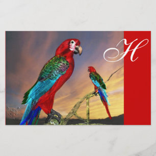 HYPER PARROTS / RED ARA MONOGRAM STATIONERY
