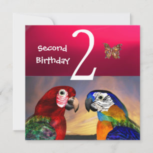 HYPER PARROTS / Second Birthday Party,Fuchsia Blue Invitation