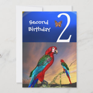 HYPER PARROTS / Second Birthday Party Invitation
