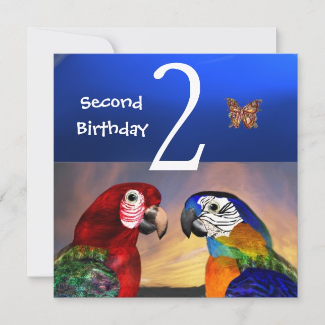 HYPER PARROTS / Second Birthday Party Invitation (Front)