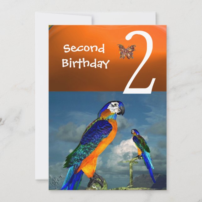 HYPER PARROTS / Second Birthday Party Orange Blue Invitation (Front)