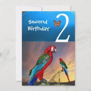 HYPER PARROTS / Second Birthday Party Turquase Invitation